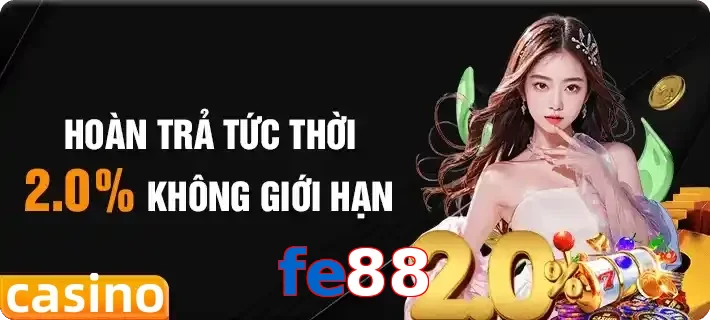 fe88